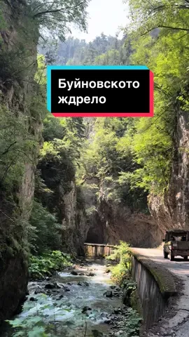 Любимата ми Родопа Планина 🤍💚❤️ Елате с мен докато преминаваме през магическото Буйновско ждрело по път за Ягодина.  My favourite Rhodope Mountains 🤍💚❤️ Ride with me as we’re passing through the Buynovo River Gorge on the way to Yagodina.  #nature #bulgaria #mountains #rhodopemountain #homesweethome #trigrad #buynovogorge #yagodina #българия #природа #родопите #родопапланина #вкъщисиенайдобре❤️ #триград #триградскождрело #ягодина 