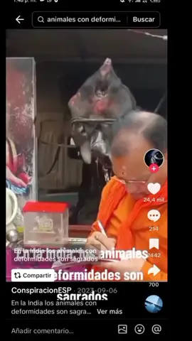 xd#apoyo #viral #edit #CapCut #godzilla 