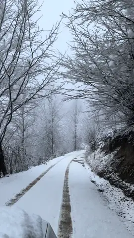 الشمال التركي بموسم الثلوج لا يقل جمال عن موسم الربيع 👌🏻☃️❄️🗻🇹🇷  . . .التصوير بشهر يناير  . #اسطنبول#طربزون#اوزنجول#ايدر#سفر #سياحه#تركيا🇹🇷 #تركيا#ثلوج #اوزنقول  #شافشات#بو_غازي#صوميلا#مرتفعات_سلطان_مراد  #مرتفعات_خضر_نبي #متشكا#هامسي_كوي  #عبدالعزيز_المجحدي#ترند#اكسبلور  #تيك_توك #ترند_تيك_توك #افضل_مقاطع_تيك_توك