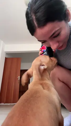 eita