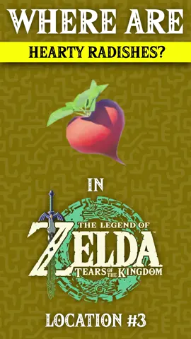 Where Are Hearty Radishes in The Legend of Zelda: Tears of the Kingdom | Location 3 Where Are Hearty Radishes in The Legend of Zelda: Tears of the Kingdom | Location 3. Most Hearty Radishes are up in the floating islands above Hyrule.  This Hearty Radish is in South Lanyard Sky Archipelago on Valor Island   You can find videos for recipes here https://www.youtube.com/playlist?list=PLCYpO35l2ofGU_W9V04UZQ6uYE13Xk3BA.   #totk #zelda #nintendo #nintendoswitch #tearsofthekingdom #gaming #games #gameplay #thelegendofzelda #funny #zeldatearsofthekingdom    Social Networks:  https://www.facebook.com/HoggeInteractive/  https://twitter.com/HoggeInteractiv  https://www.pinterest.com/hoggeinteractive/  https://www.instagram.com/hogge_interactive/ https://www.reddit.com/r/Cooking_in_LOZ_TOTK/  https://cookingintloztotk.blogspot.com  https://www.tumblr.com/blog/hoggeinteractive