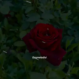 #esqmelodisi / Anam ♥️