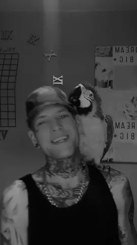 LOVE THIS TREND HAD TO REPOST IT #starletste_official #youforpage #fyp #xyz #1 