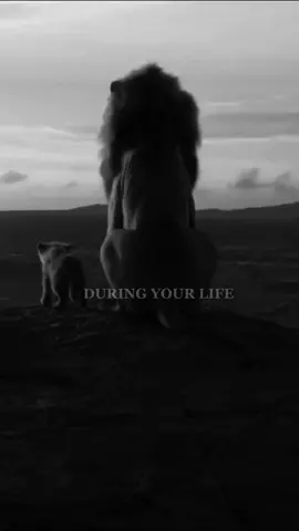 Three kinds of love, which one are you? #lion #Love #motivation #motivationalquotes #relationships #motivationalvideosforyou 