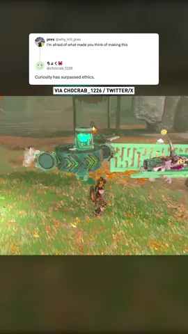....what in the world is going on in Tears of the Kingdom these days 😦 (via chocrab_1226 / Twitter/X) #zelda #tearsofthekingdom