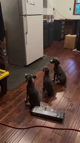 One’s having more trouble with the whole  “patience” thing
