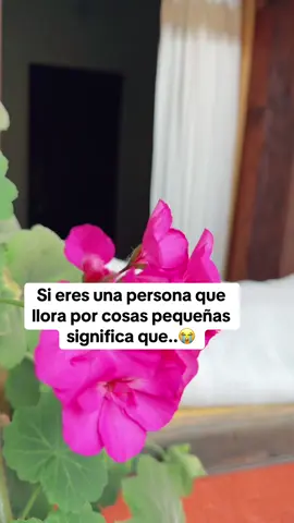 Spotif🎵 / hermanos Pancardo 🎧 #datospsicologicos #llorar #hermanospancardo 