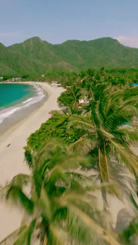 Volando por las costas del Estado Aragua nos encontramos con un Pueblo llamado Chuao mejor conocido como la tierra del cacao. #venezuela #aragua #choroni #chuao #cacao #playa #drone #dronefpv #fpvdrone #dronevideo 