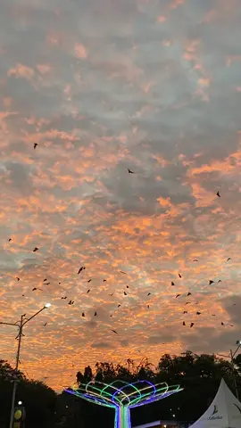 🦇🦇🦇 #zyxcba #fyp #fypシ 