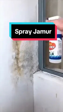 Semprotan jamur serbaguna ini membantu Anda mengatasi kekhawatiran Anda tentang noda jamur di rumah Anda #antijamur #sprayjamur #penghilangJamur #fyp #foryou #tiktoktrending