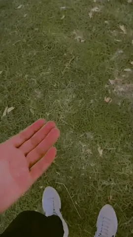 “Tere nal”🫀😍🥺#foryou #foryoupage #Love #couplegoals #song #husbandwife #sakoon #jaan 