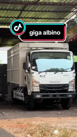 update giga kembar albino herex #cahayavariasi #cahayavariasisubah #baktruk #variasitruck #karoseritruck #loadbak #modifikasiindonesia #truckmodifiedindonesia #truckhits #trucklife #modifikasitruck #truckstory_indonesia #truckganteng #nmr71 
