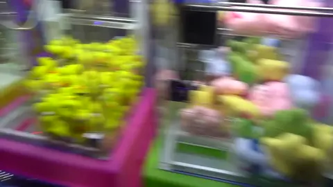 Garra mini con Billetes en la Feria_01