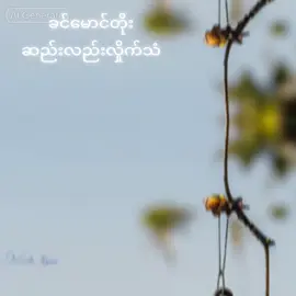 #ခင်မောင်တိုး #foryoupage 
