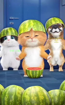 Dudi dam phiên bản đội dưa hấu của biệt đội meow và chó 🐶🐱 have fun #kidsoftiktok #kids #forkids #funnykids #cartoon #kidscartoon #funny #funnycat #dancingcat #babydancing #catdance #funnydance #dudidam #dudidudidamdam #dudidamchallenge 
