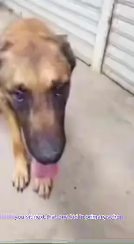 Ответ пользователю @andreiy_x_jo_jo 