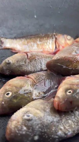 Crucian fish soup🐟 / Уха из карася🐟 #pandasakha #winter #fish #food #fypシ 