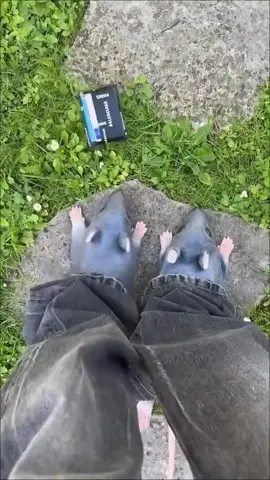 Not the rata-shoe-ies 📹 : @Andrea Erati  #fyp #foryoupage #feet #fashion #weirdfashion #foryou #shoe #rat #ratatouille #mywallet #dropped #trend #viral 