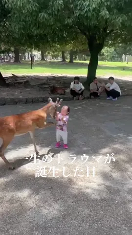 奈良公園の鹿に襲撃された娘 その日の夜から熱出しました😇😇😇 #1歳2ヶ月 #女の子ベビー #奈良公園 #鹿 #赤ちゃんのいる生活 #赤ちゃんのいる暮らし #一生のトラウマ