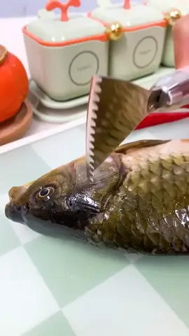 #peralatandapur #peralatandapurmurah #setperalatandapur #setperalatandapurmurah #pengikissisikikan #pengikissisikikanmurah #pengikissisikikanviral #fishscale #fishscaleremover #fishscalescrapingtool #alatpengupassisikikan #pengupassisikikan #pengupassisik #pengupassisikikanviral 