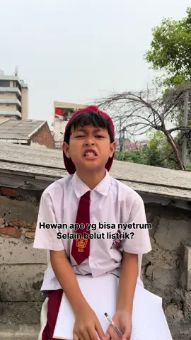 Hewan ape yg bisa nyetrum selain belut listrik?😁 #fyp #fypa 