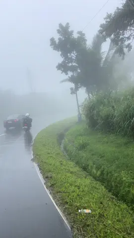 🌧️+🛵=💙 #rainride #cuddleweather #marilaque #ontheroad #fyp #rider #ridesafe #rides #nature #pouring #foggyweather #foggy #mountain 