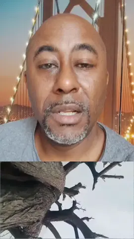 #Niger l’attaque de l’EI #Sahel du 20.07 contre un colonne de l’armée dans le secteur d’#Ikarfane. Images tournées par un officier ou un sous-officier qui incite ses hommes à tenir face aux jihadistes malgré la pression. Le convoi était composé de ~200 militaires / +30 morts #Mali #aes #burkinafaso #afrique 