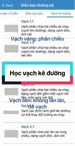 Học vạch kê đường #daylaixe #luatgiaothong #thisathachbanglaixeoto #thbau 