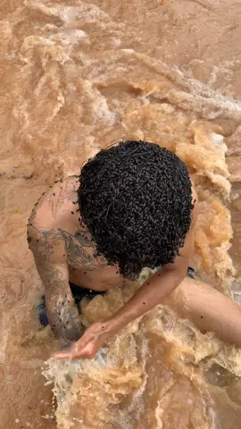 lice#scare #lice #ticks 