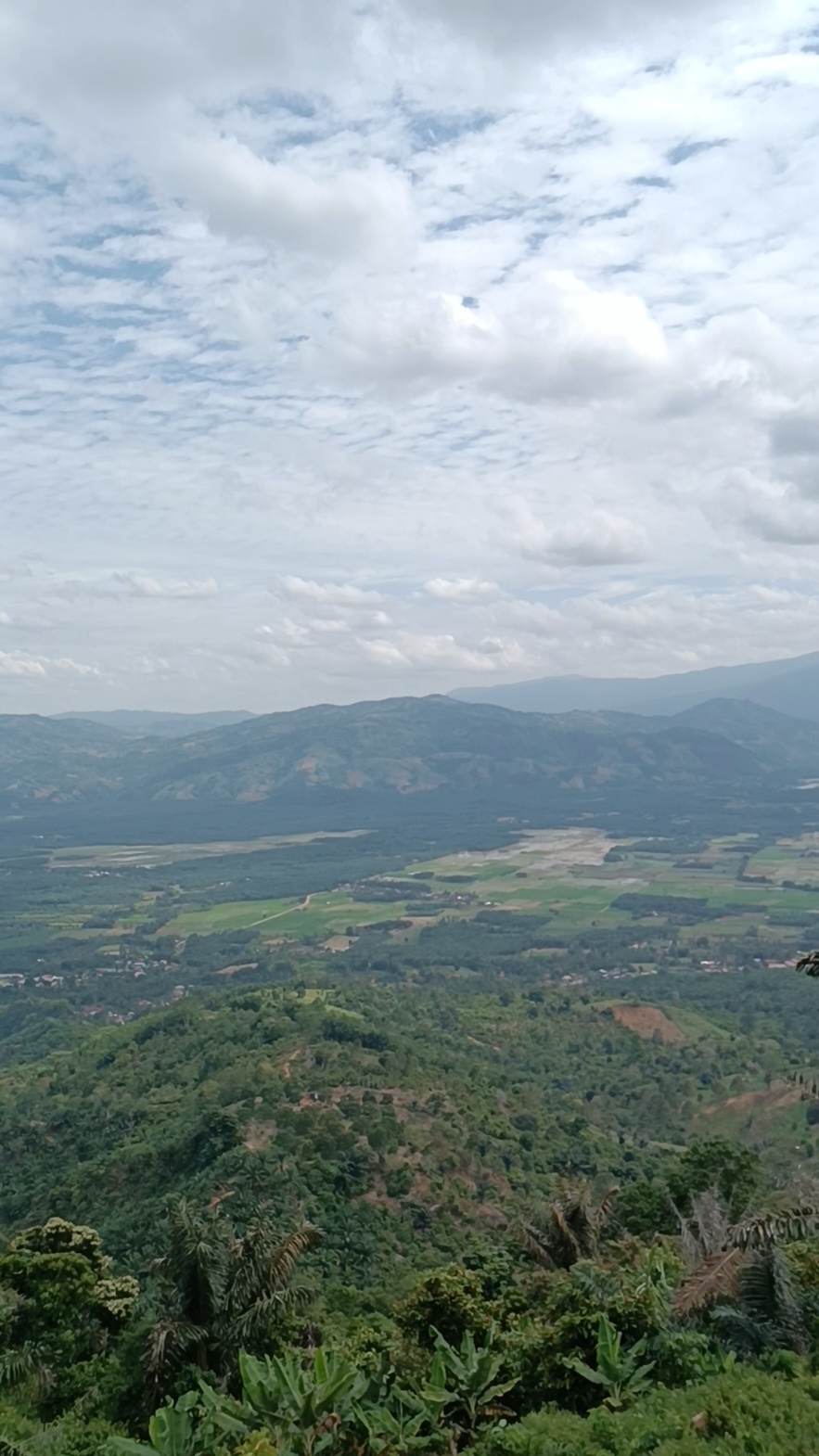 yg mau ambil mentahan silahkan, jgn lupa follow#puncakgunung #pegunungan #pemandangan #desa #fypシ #kutecane #acehtenggara #indonesia #mentahanvideo #masukbrandsfyp #fyp 