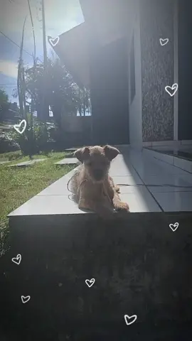 #CapCut #corazon #corazondemelon #fyp 