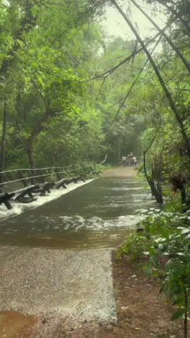 Muốn đi nhanh thì đi 1 mình, muốn đi xa thì mình đi chung 🌝 #capcut #fyp #namcattien @Huỳnh Thảo Linh @Trọng Zô-Triz 