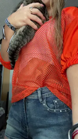 she wouldnt leave me alone til she made an appearance #explorepage #cat #fypage #dance #dc #xybca #shadowbanned😔 