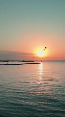 La calma dell’alba🌅🪽#dji #drone #fly #djiglobal #dronevideo #alba #ocean 