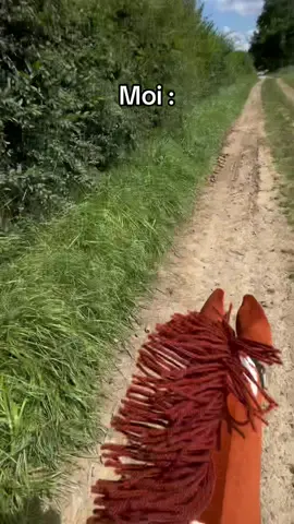 Oe oe tkt 💀💀#hobbyhorsejumping #hobbyhorse #hh #hobbyhorsing #horse #hobbyhorsingisasport #cheval #elevagedegunfard #nohate #kht #pintohobbyhorse #netherdegunfard #nether