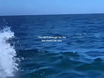 🐬💙 #songs #vibes #unforgettable #dolphins #foryou #Viral #fyp 