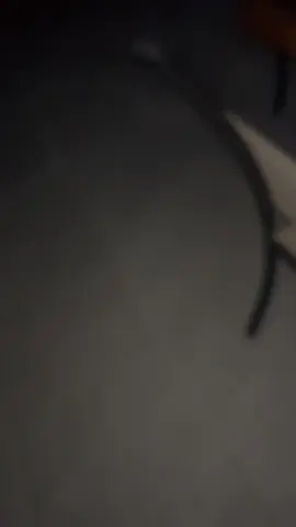 Curly hair taktikleri deniyoeum