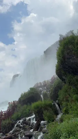 Niagra fools 🙌🏼