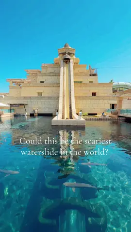 Have you been on the leap of faith…?  Located in the Atlantis, aquaventure, Dubai 🇦🇪  #pov #atlantis #atlantisthepalm #aquaventure #leapoffaith #leapoffaithchallenge #waterslide #thepalm #dubai #pointofview  @Atlantis Dubai 