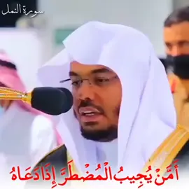 Beautiful Recitation 💫 ‏#allah #zeealqura #القران_الكريم #quran_alkarim ‏#quran #foryoupage