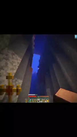 #Minecraft #totem 