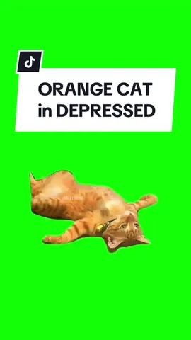 #CapCut ORANGE CAT in DEPRESSED. #greenscreen #greenscreenvideo #greenscreenoverlays #fyp #fypシ #fypage #fypppppppppppppppppppppppppppppppppppppppppppppppppppppppppppppppppppppp #fyppage #fypシ❤️💞❤️ #meme #memes #memestagram #freefirememe #memepage #viral #viralvideos #viralreels #viralvideo #viralpost #meme2024 #cat #cats #catsofinstagram #catlover #catmemes #catmeme #trend #trending #viralcats 