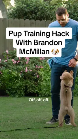 Teaching “Off” just needs a bottle and some loose change 🐕 @Brandon McMillan  #dogsoftiktok #dog #doggo #DogTraining 