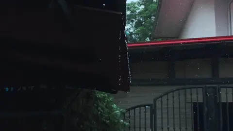 “Rainy Season” Bulong - December Avenue #cinematography #cinematic #rain #fyp 
