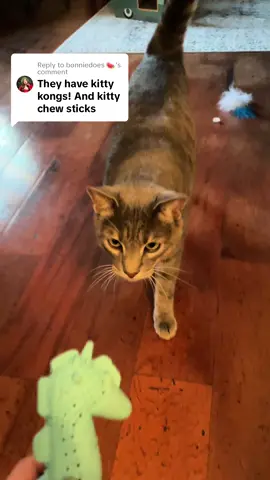 Replying to @bonniedoes 🍉 It’s like he only uses it if I’m holding it… #cat #catsoftiktok 