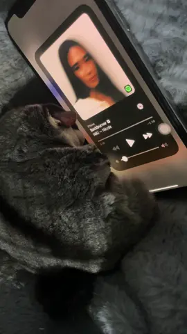 Udah pernah jadi sekencois blm dek? Jgn ya dek yaa #backburner #niki #fyp #4u 