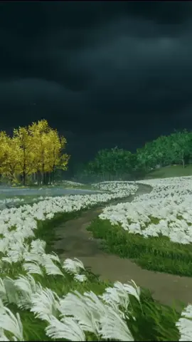 its Yr Dream #healing  #MyPostEvents  #fypシ  #foryoupage  #flowers  #scenery 