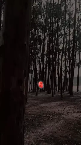 De la nada saliste tú❤✨ #williamluna #delanada  #salistetu🥰😘 #music #Love #❤️❤️❤️❤️❤️❤️❤️ #paratiiiiiiiiiiiiiiiiiiiiiiiiiiiiiii #foryoupage #contenido #viralposts #cancionesparadedicar #cute #viralvideo #fyppppppppppppppppppppppp #loveyou #viralvideo #viraltiktok #like #💖💖💖 #✨🦋 #paisaje #paisajes_hermosos #peru🇵🇪 #contenidorandom #contenidoviral🦋 #songs #cancionestendencia 