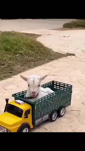 #سلام_عليكم_أخباركم_طييبين#إكسبلوررررررر_explore🕊🤍🌹 