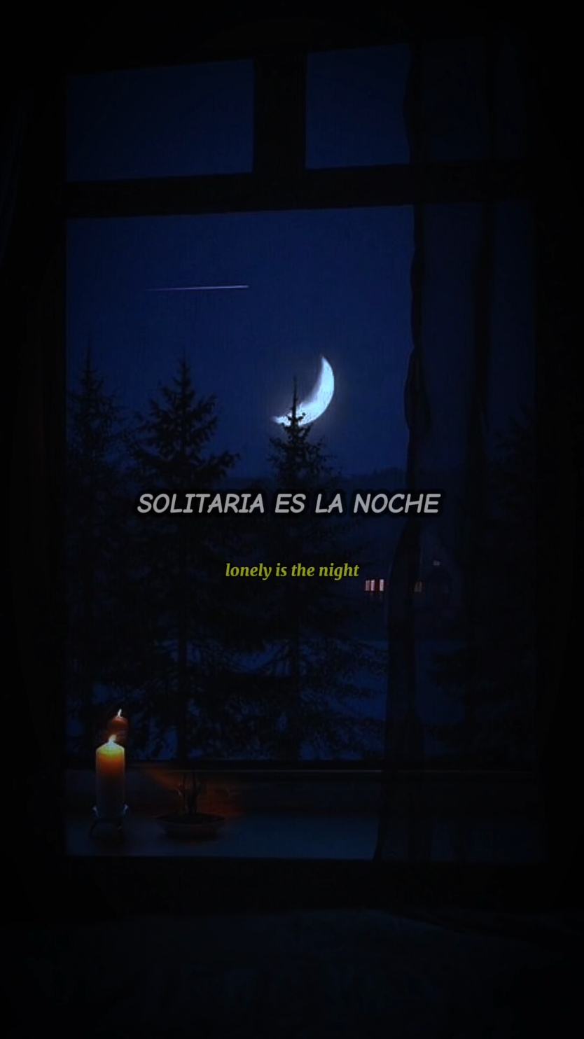 Lonely Is The Night  | Air Supply 🎶✨ #lonelyisthenight #airsupply  #80s #clasicosporsiempre #softrock #rockclasico #missingyou #lyricsmusic #music #extrañandote #Love #chokita10 #fypシ 
